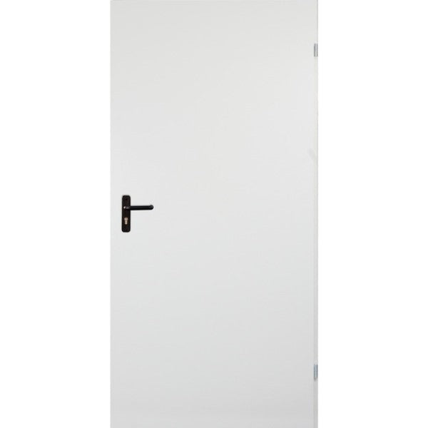 ტექნიკური რკინის კარი RT 02