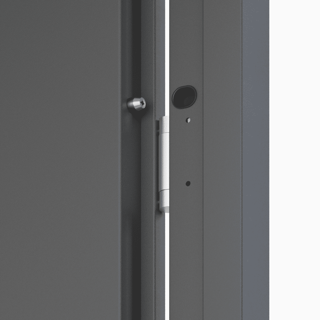 რკინის კარი Artemida P55 დათბუნებით