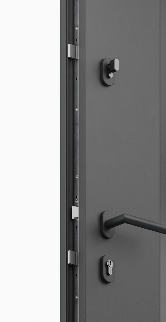 რკინის კარი Luna S68 ZL ARCTIC დათბუნებით