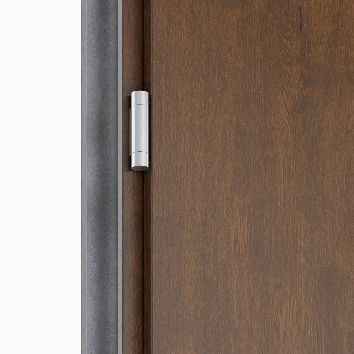 რკინის კარი Temida(S) P55 დათბუნებით