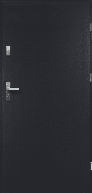 რკინის კარი Artemida P55 დათბუნებით